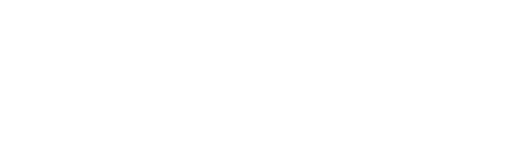 bodytonic wellness centre text logo