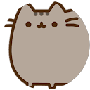 Emily Liu profile picture